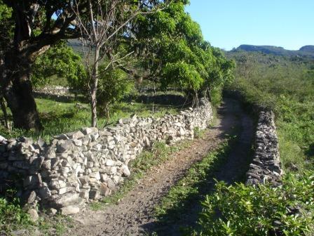 Cercas de Pedra - Patrimonio Histórico de Campos de São João