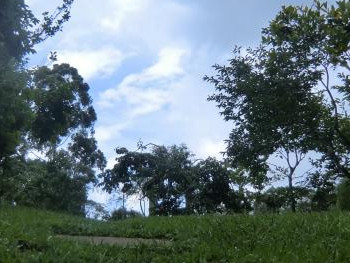 Pousada Recanto dos Pinheiros
