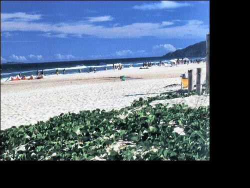 Praia do Campeche