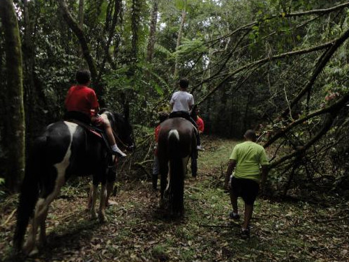 Trilhas a cavalo