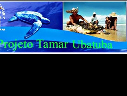 Projeto Tamar