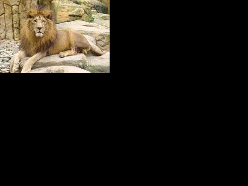 Zoo Pomerode