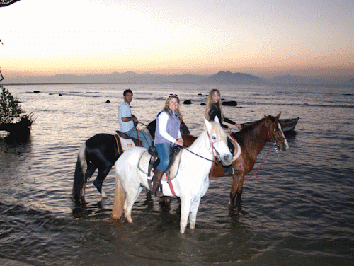 Passeios a cavalo nas trilhas e praias