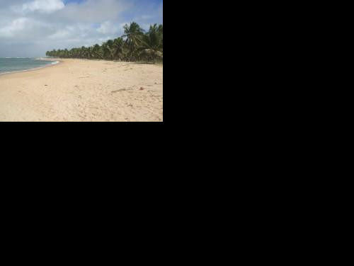 PRAIA DO FRANCES