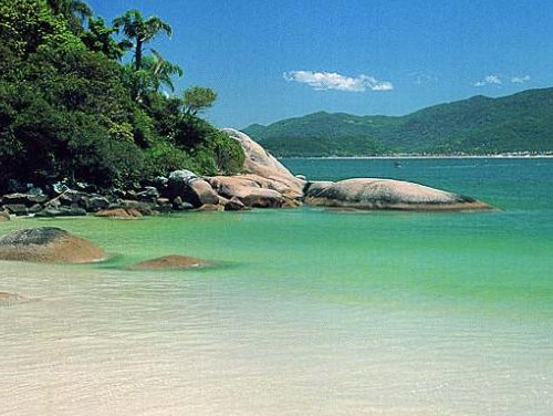 Descubra a Ilha do Campeche: Um Paraíso Natural em Florianópolis