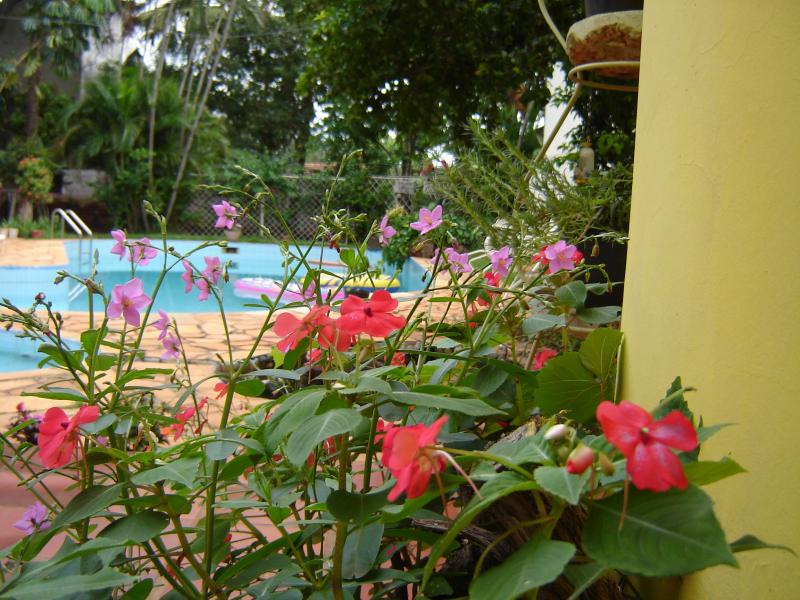 Wm House B&b