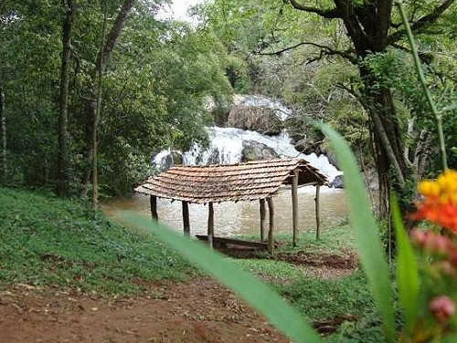Circuito dos Orgânicos