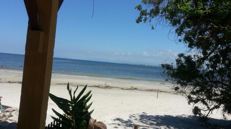 Natureza Encantada