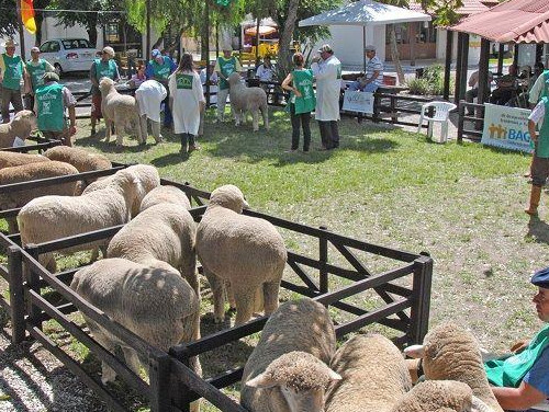 Associação Rural de Bagé - Parque Visconde de Ribeiro Magalhães
